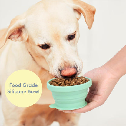 Sweet Paws Travel Hero 3-in-1 Portable Pet Food Container, Silicone Water Bowl, and Poop Bag Dispenser in One, Sea Glass