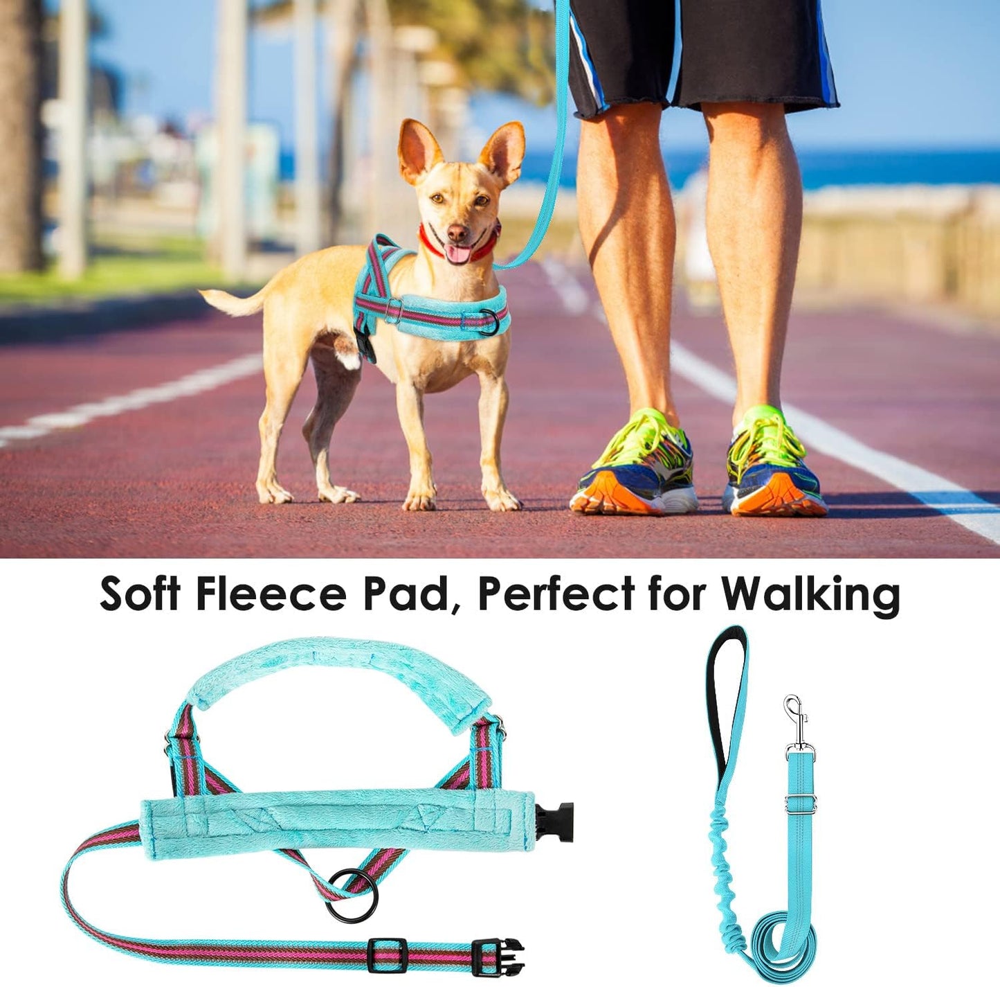 Lukovee No Pull Dog Harness and Leash Set, Soft Padded Small Dog Harness, Neck & Chest Adjustable Reflective Vest Puppy Harness with 4ft Lightweight Anti-Twist Dog Leash for Small Dogs (M, 01-LBL)