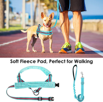 Lukovee No Pull Dog Harness and Leash Set, Soft Padded Small Dog Harness, Neck & Chest Adjustable Reflective Vest Puppy Harness with 4ft Lightweight Anti-Twist Dog Leash for Small Dogs (M, 01-LBL)