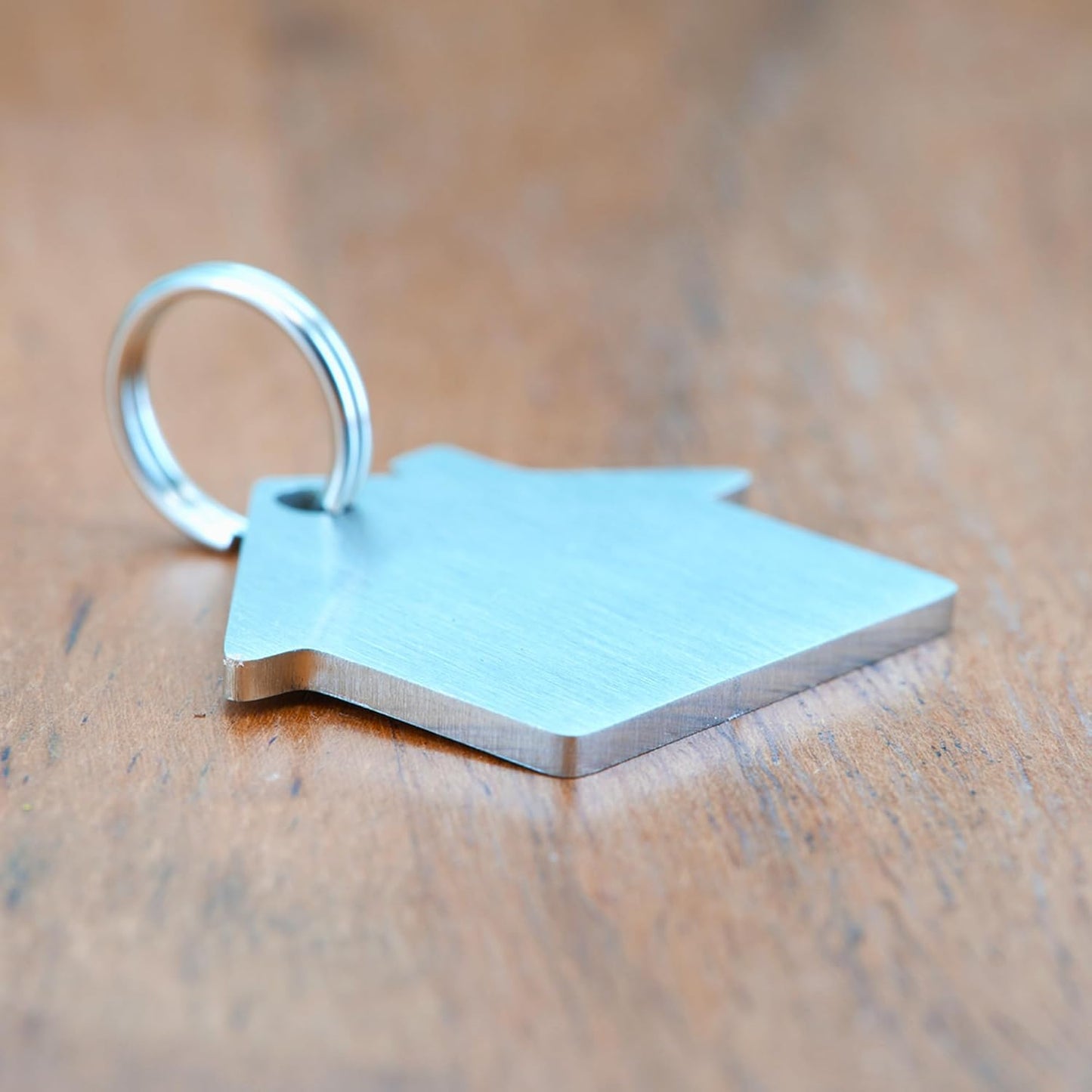 Ultra Joys Cat ID Tag Personalized Pet Tags, Durable Stainless Steel Small Pet Mini Dog Cat Tag Lightweight - House Tag in Silver