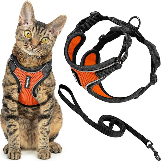 Voyager Escape Proof Cat Harness and Leash Set with Reflective Stitching, Neoprene Handle 5ft - Supports Small, Medium and Large Cats, Kittens for Walking by Best Pet Supplies - BT-Orange, XXXS