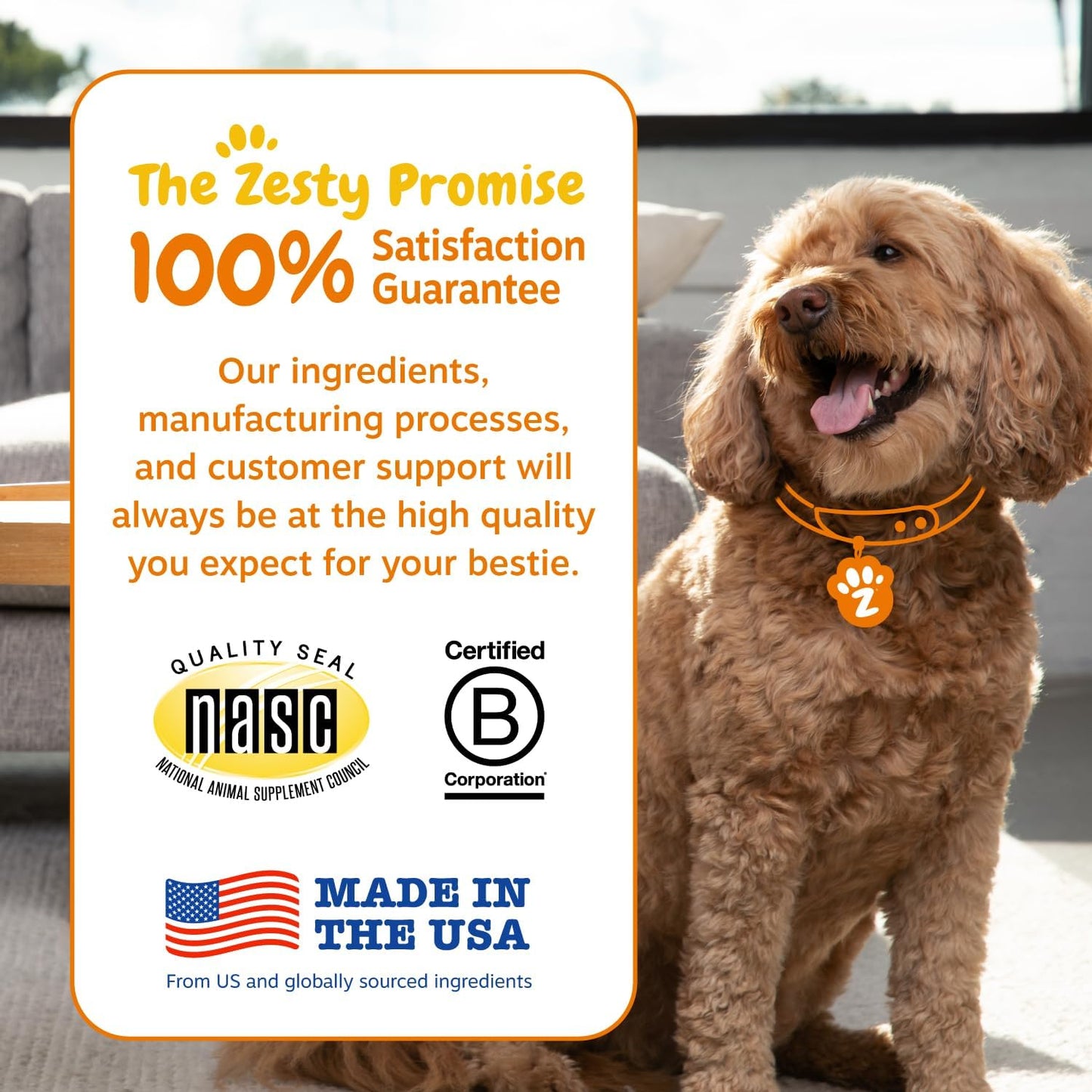 Zesty Paws Probiotics for Dogs - Digestive Enzymes for Gut Flora, Digestive Health, Diarrhea & Bowel Support - Clinically Studied DE111 - Dog Supplement Soft Chew for Pet Immune System - Pumpkin