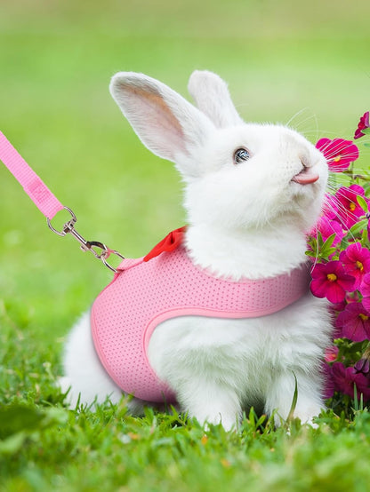 Rabbit Harness and Leash Set for Walking Escape Proof, Mesh Breathable Adjustable Bunny Harness Camping Hiking Training for Ferret Kitten Puppy Pink L (Chest:13.3-14.5")