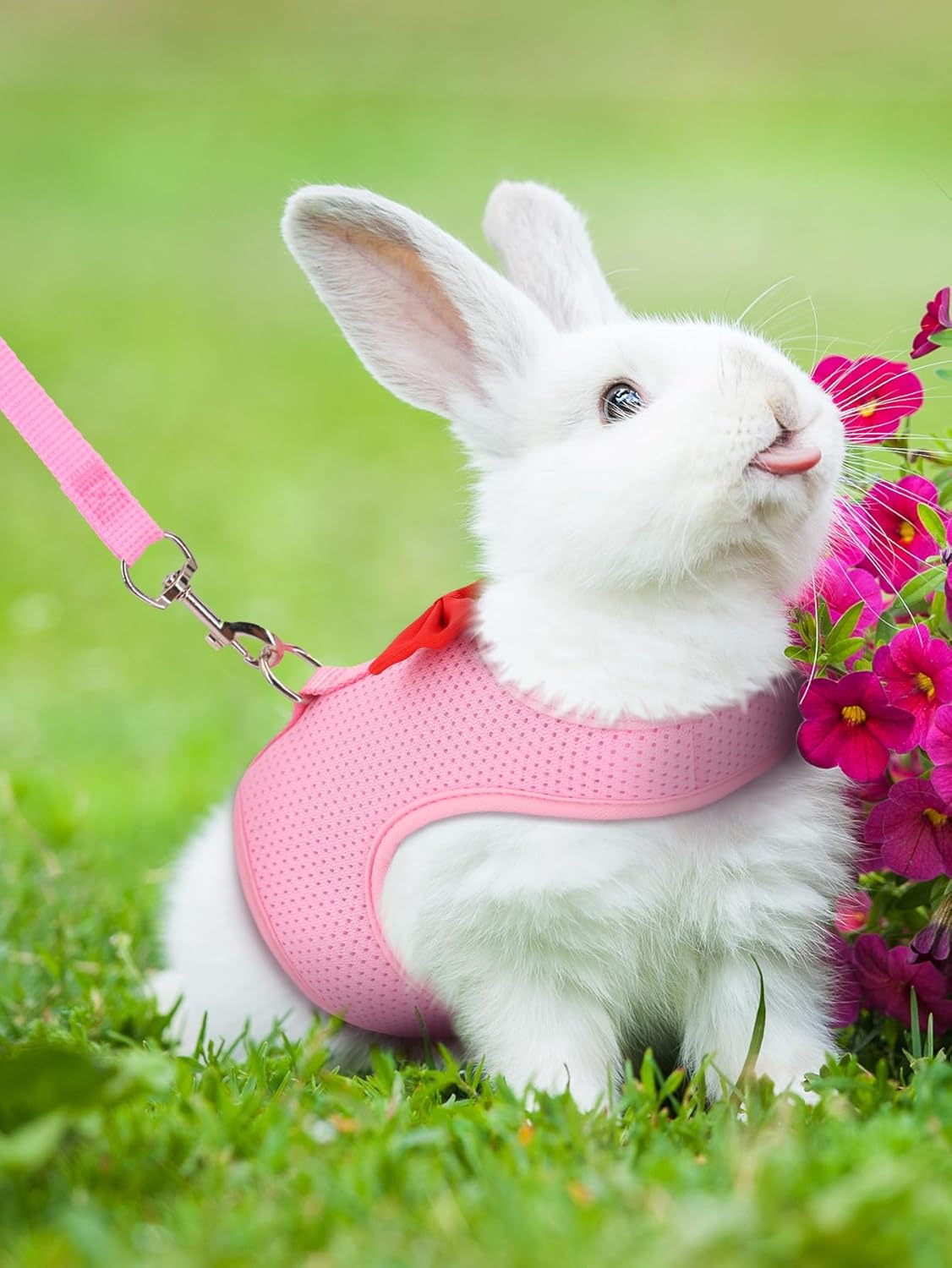 Rabbit Leash and Harness Set for Walking Escape Proof,Mesh Breathable Adjustable Bunny Leash Camping Hiking Training for Bunny Ferret Kitten Puppy Pink S Young Rabbit 1-3 Months