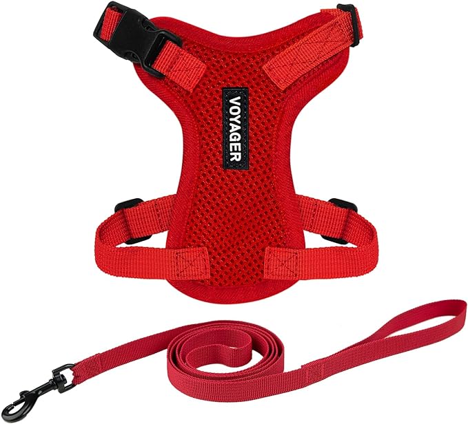 Voyager Step-in Lock Adjustable Cat Harness w. Cat Leash Combo Set with Neoprene Handle 5ft - Supports Small, Medium and Large Breed Cats by Best Pet Supplies - Red, XS