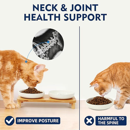 Elevated Cat Bowls for Indoor Cats – Raised Bamboo Cat Food Table with 2 Ceramic Dishes, Adjustable Height (4.25"/3.07"), Set of 1