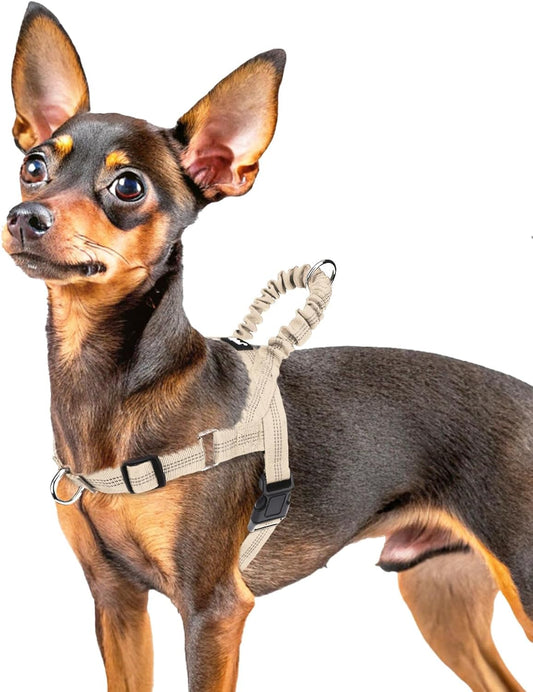 PUPTECK No Pull Dog Harness Small Sized Dog, Adjustable Reflective Pet Vest Harness with Bungee Handle, Escape Proof No Choke Harness for Small Dogs Walking Training, Beige XS