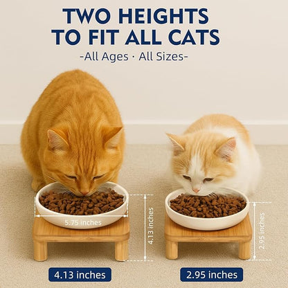 Elevated Cat Bowls for Indoor Cats – Raised Bamboo Cat Bowl Stand with 5.75 Inch Wide Ceramic Dishes, Pet Food Plate Table for Easy Feeding, Whisker Friendly(White,Set of 2)