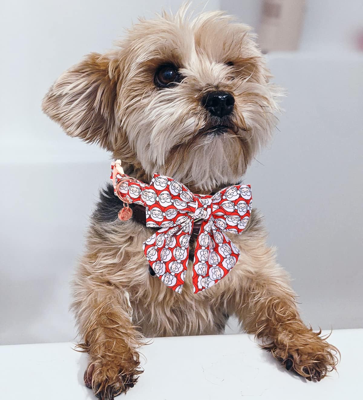DOGWONG Cotton Dog Collar with Bowtie, Stylish Christmas Red Plaid Dog Collar Adjustable Puppy Necklace for Small and Medium Dogs
