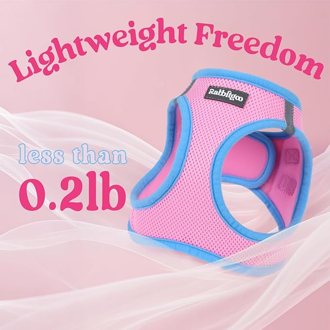 rabbitgoo Dog Harness Small Sized and Leash Set, Step-in Breathable Pet Harness, Soft Walking Reflective Puppy Vest for Small Dogs, Pink & Light Blue, XXS
