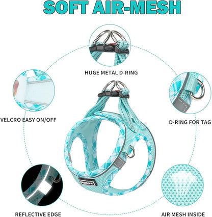 Mercano Soft Mesh Dog Harness and Leash Set, No-Chock Step-in Reflective Breathable Lightweight Easy Walk Vest Harnesses with Safety Buckle for Small Dogs, Cats (Light Blue, S)