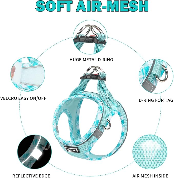 Mercano Soft Mesh Dog Harness and Leash Set, No-Chock Step-in Reflective Breathable Lightweight Easy Walk Vest Harnesses with Safety Buckle for Small Dogs, Cats (Light Blue, L)