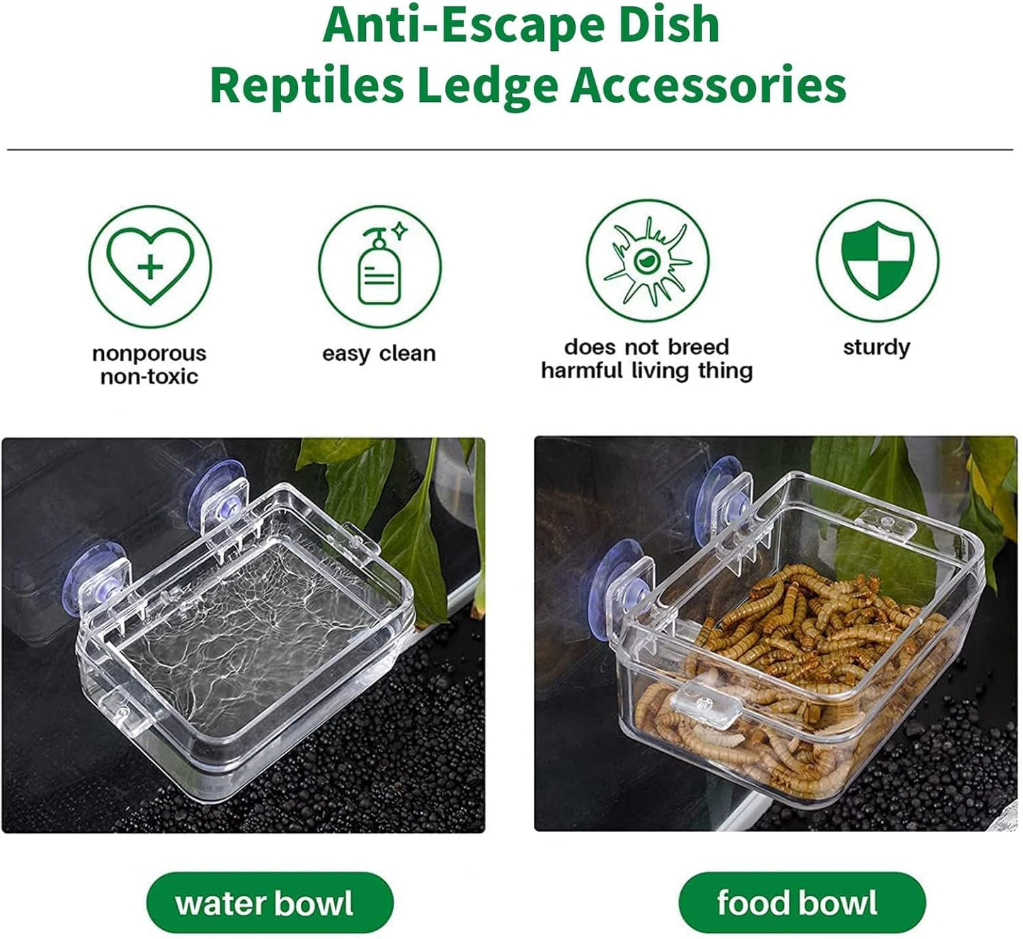 Tfwadmx 2 Pcs Chameleon Bowl, Reptile Feeding Food, Water Dish Gecko Worm Feeder Anti-Escape Hanging Chameleon Supplies Accessories for Lizard Bearded Dragon Snakes