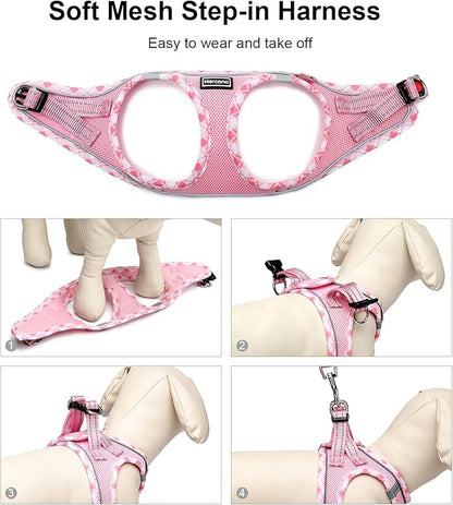 Mercano Soft Mesh Dog Harness and Leash Set, No-Chock Step-in Reflective Breathable Lightweight Easy Walk Vest Harnesses with Safety Buckle for Small Dogs, Cats (Pink, XXS)