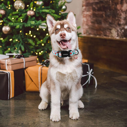 DOGWONG Christmas Santa Dog Collar- Cute Blue Christmas Penguin Dog Collar for Small Medium Large Dogs M