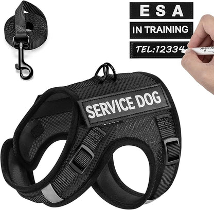 FAYOGOO Service Dog Vest for Small Dogs - Air Mesh Breathble Emotional Support Animal Vest with Velcro Patches - Puppy Harness and Leash Set Adjustable Neck and Chest