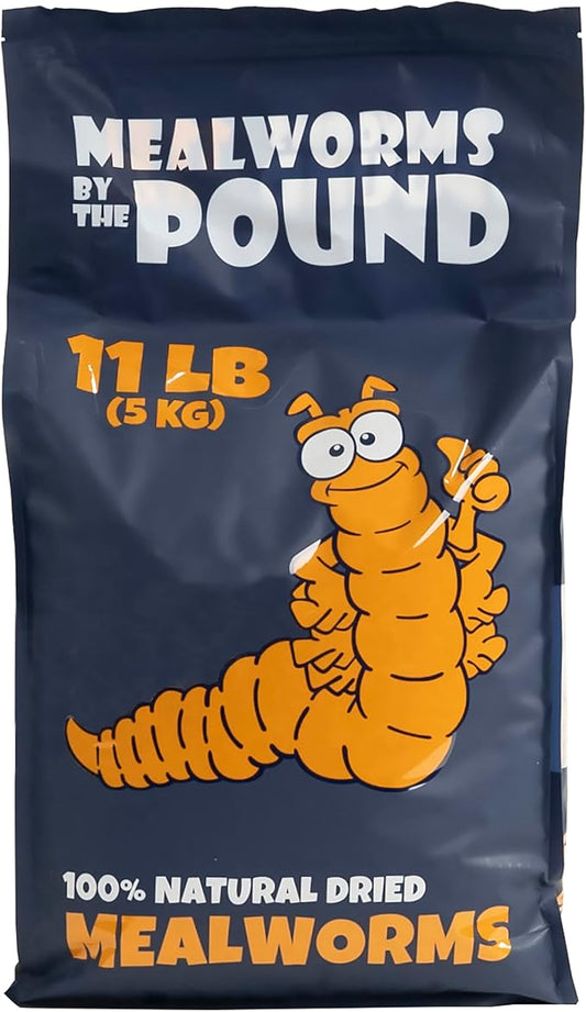 MBTP Bulk Dried Mealworms - Treats for Chickens & Wild Birds (11 Lbs)