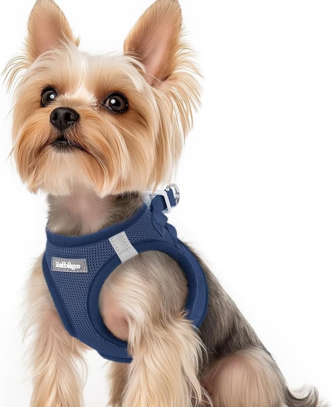 rabbitgoo Small Dog Harness, Step-in Soft Mesh Puppy Vest with Safety Buckle, Breathable Reflective Pet Harness for Small Sized Dogs, Navy Blue XS