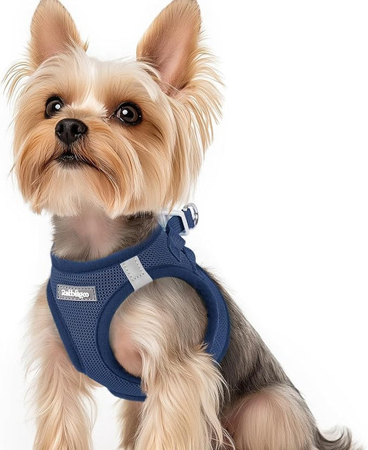 rabbitgoo Small Dog Harness, Step-in Soft Mesh Puppy Vest with Safety Buckle, Breathable Reflective Pet Harness for Small Sized Dogs, Navy Blue XS