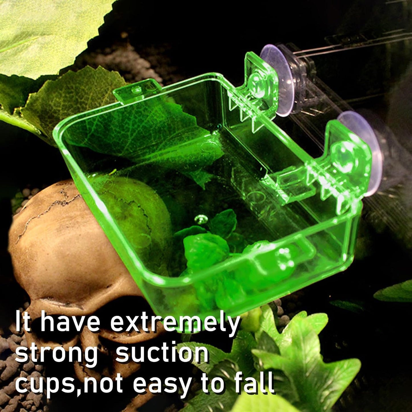 Tfwadmx 2 Pcs Reptile Feeder Chameleon Bowl Water Dish with Suction Cup Gecko Worm Feeder Anti-Escape Chameleon Supplies Accessories for Iguana Lizard Bearded Dragon Snakes （Green,S）