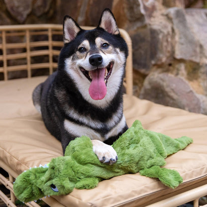 Best Pet Supplies Squeaky Dog Toys with Soft Durable Fabric for Small, Medium and Large Pets Interactive Toy for Indoor Play, Supports Active Biting and Play - Alligator, Small
