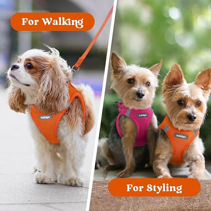 rabbitgoo Small Dog Harness, Step-in Soft Mesh Puppy Vest with Safety Buckle, Breathable Reflective Pet Harness for Extra Small Dogs, Orange XXS