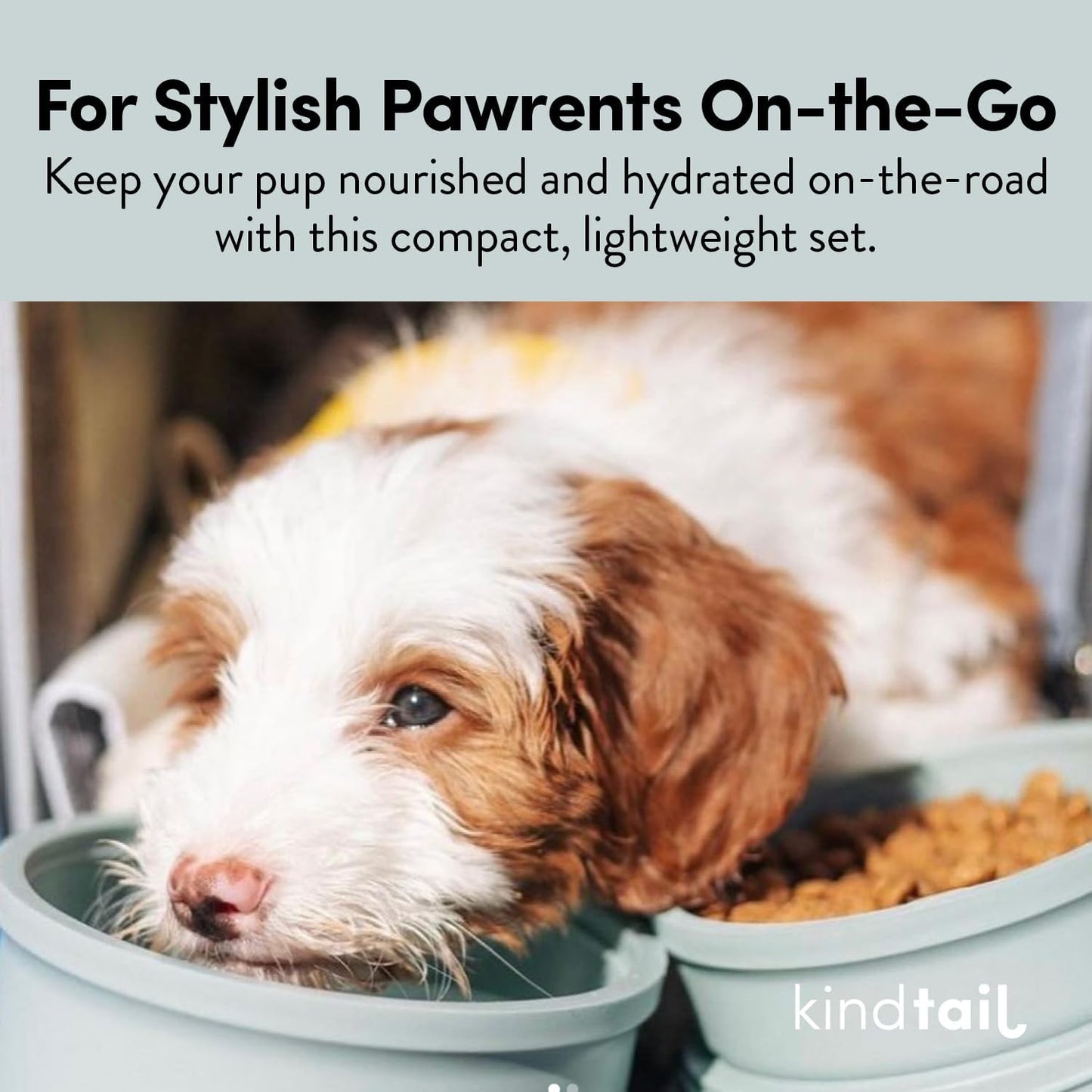 KindTail Portable Pet Feeder, Travel Dog Bowls with Lid and Handle, Microwave and Dishwasher-Safe, 10oz Inner Bowl & 20oz Outer Bowl, Grey