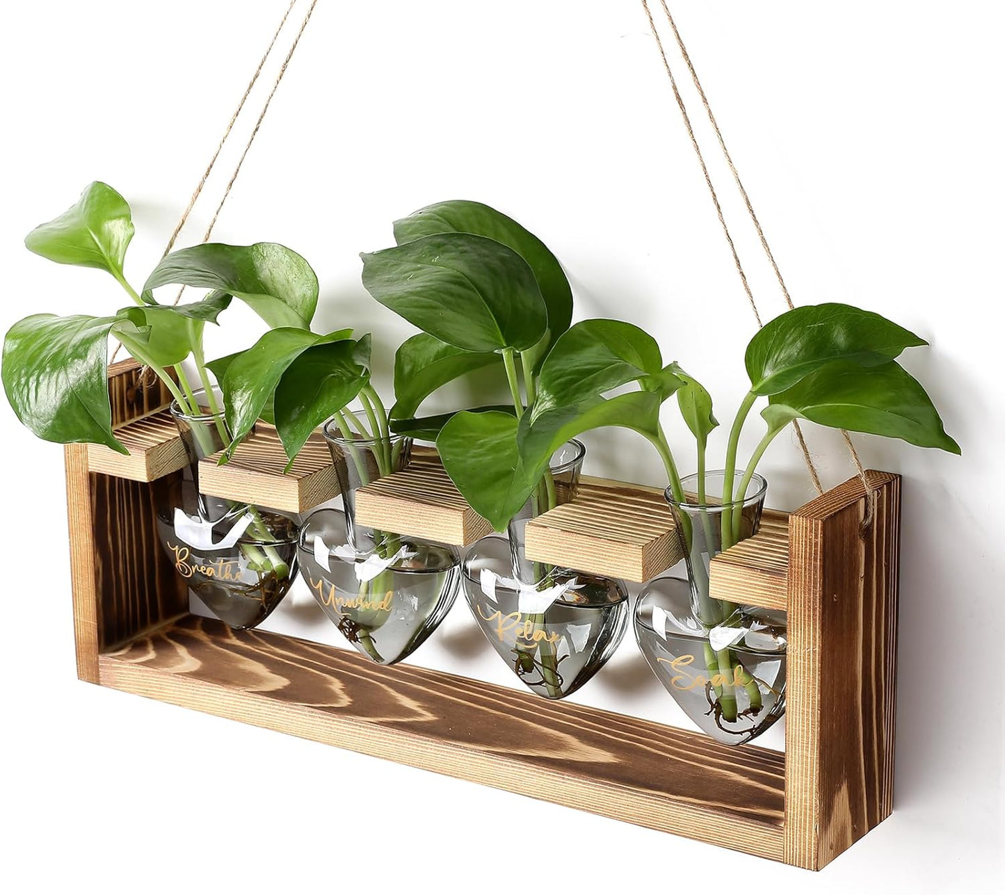 Plants Propagation Stations Plant Terrarium Kit for Bathroom Glass Planters for Indoor Plants Bathroom Decor Accessories - Relax Soak Unwind Breathe