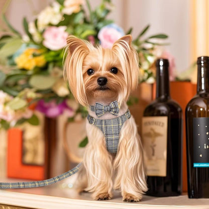 Beirui Cute Extra Small Dog Harness Collar and Leash Set with Bowtie, Soft Adjustable Plaid Puppy Harness for Small Sized Dogs Cats Walks Parties and Photoshoots(Gray,XXS:Chest 12-14")