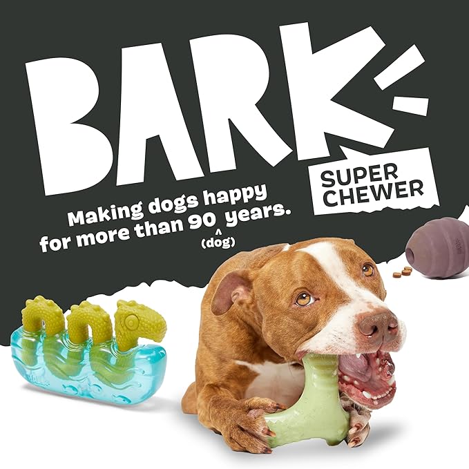 Barkbox Pumpkin Prodigy Dog Toy | Halloween Treat-Dispensing Rubber Dog Toy for Aggressive Chewers | Durable Dog Chew Toy for Medium Dogs & Puppy Essentials