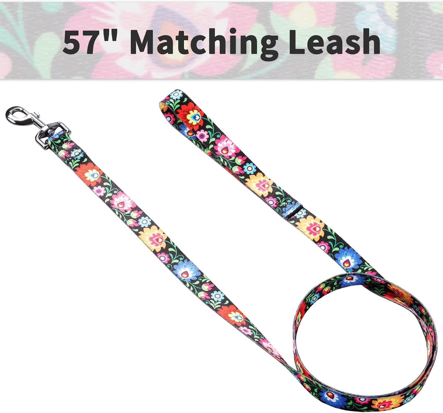 Ihoming Puppy Collar and Leash Set for Daily Outdoor Walking Running Training, Black Colorful Flowers Design for Extra Small Boys Girls Dogs Cats Pets, XS-Up to 10LBS