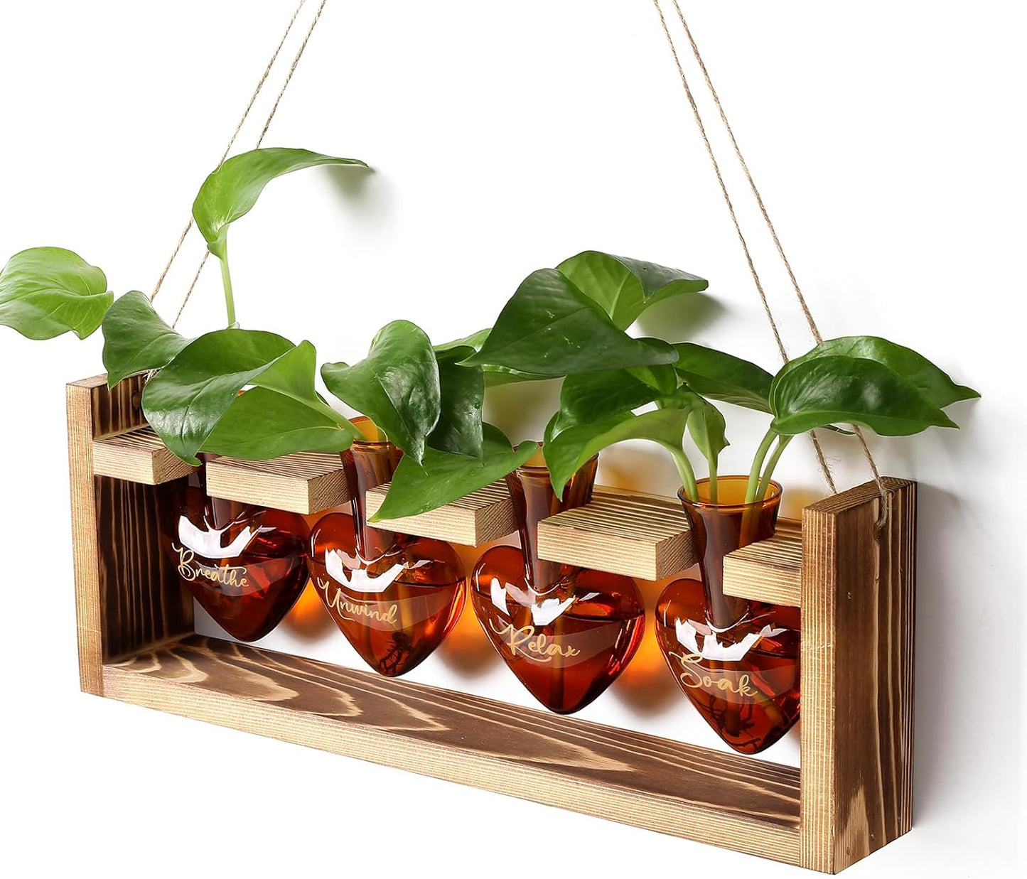 Plants Propagation Stations Plant Terrarium Kit for Bathroom Glass Planters for Indoor Plants Bathroom Decor Accessories - Relax Soak Unwind Breathe