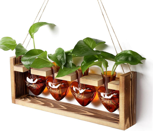 Plants Propagation Stations Plant Terrarium Kit for Bathroom Glass Planters for Indoor Plants Bathroom Decor Accessories - Relax Soak Unwind Breathe