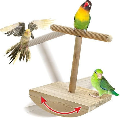 kathson Bird Training Stand, Parakeet Playground Bird Perch Platform Portable Tabletop Parrot Perch T Shaped Cockatiel Play Stand for Parakeet Conure Lovebird Cockatiel