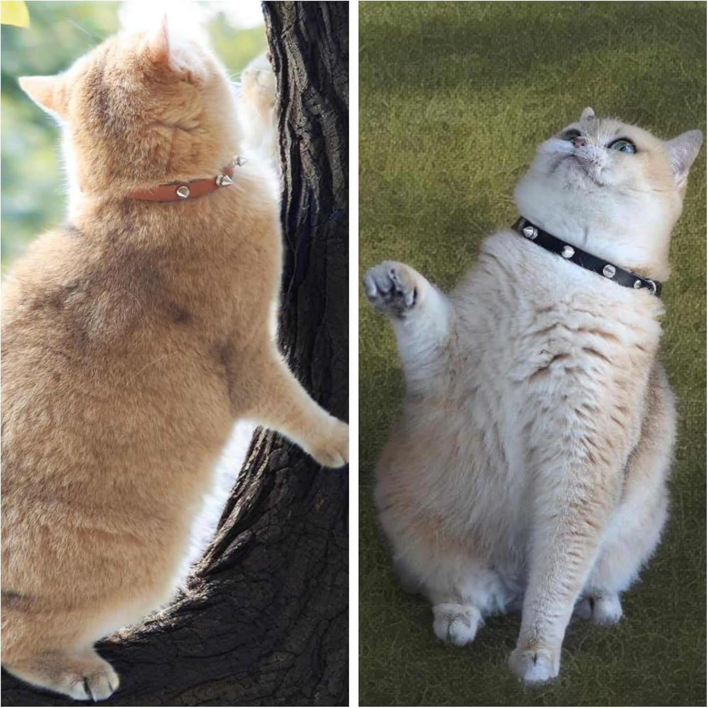 Spiked Cat Collar with Bells, Breakaway Genuine Leather Protective Collar for Kitty, Studs Spikes Punk Style Adjustable for Girl Boy Kittens Small Bunny Rabbit, 8"-9.5" Black