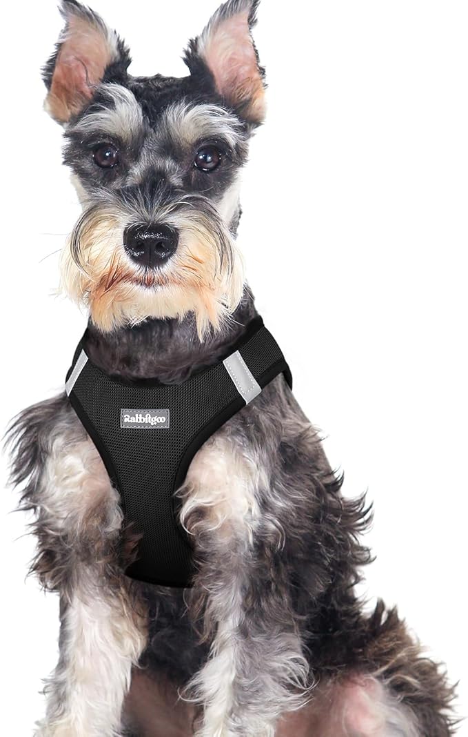 rabbitgoo Small Dog Harness, Step-in Soft Mesh Puppy Vest with Safety Buckle, Breathable Reflective Pet Harness for Large Dogs, Black XXL