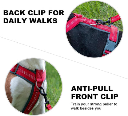 Plutus Pet No Pull Dog Harness, Adjustable Nylon Harness with Soft Padding, Reflective and Heavy Duty Dog Harness for Small, Medium, Large Dogs(Red, S)