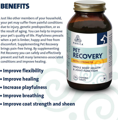 Purica Recovery Extra Strength Dog Supplement - Supports Hip and Joint Health for All Breeds - Contains Nutricol, Hyaluronic Acid, EGCG, Resveratrol - Aims to Enhance Canine Endurance and Flexibility