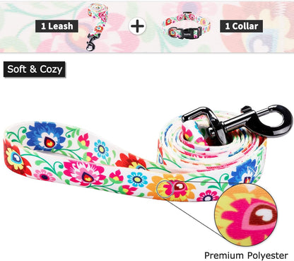 Ihoming Dog Collar and Leash Set for Daily Outdoor Walking Running Training, White Colorful Flowers Design for Large Boys Girls Dogs Cats Pets, L-Up to 80LBS