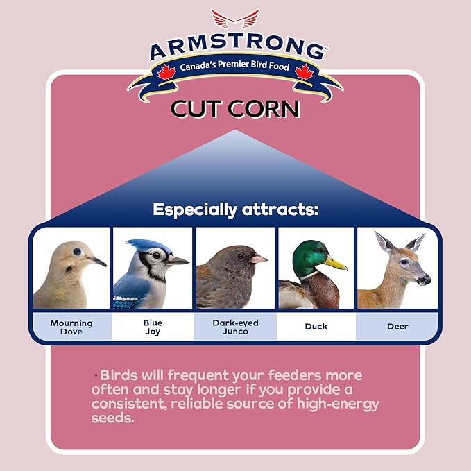 Armstrong Wild Bird Food Cut Corn, 4.4 Pounds - Premium High-Energy Feed for Mourning Doves, Blue Jays, Ducks & Deer - Ideal for Backyard Feeders, Ground Feeding & Outdoor Wildlife