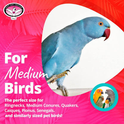 Super Bird Creations SB448 Katy's ABC Jr. Interactive Bird Toy - Durable Chew Toy, Non-Toxic Textured ABC Blocks, Safe 'Polly' Rope, Ideal for Parrots & Ringnecks - Medium Bird Size - 7" x 5" x 1.5"