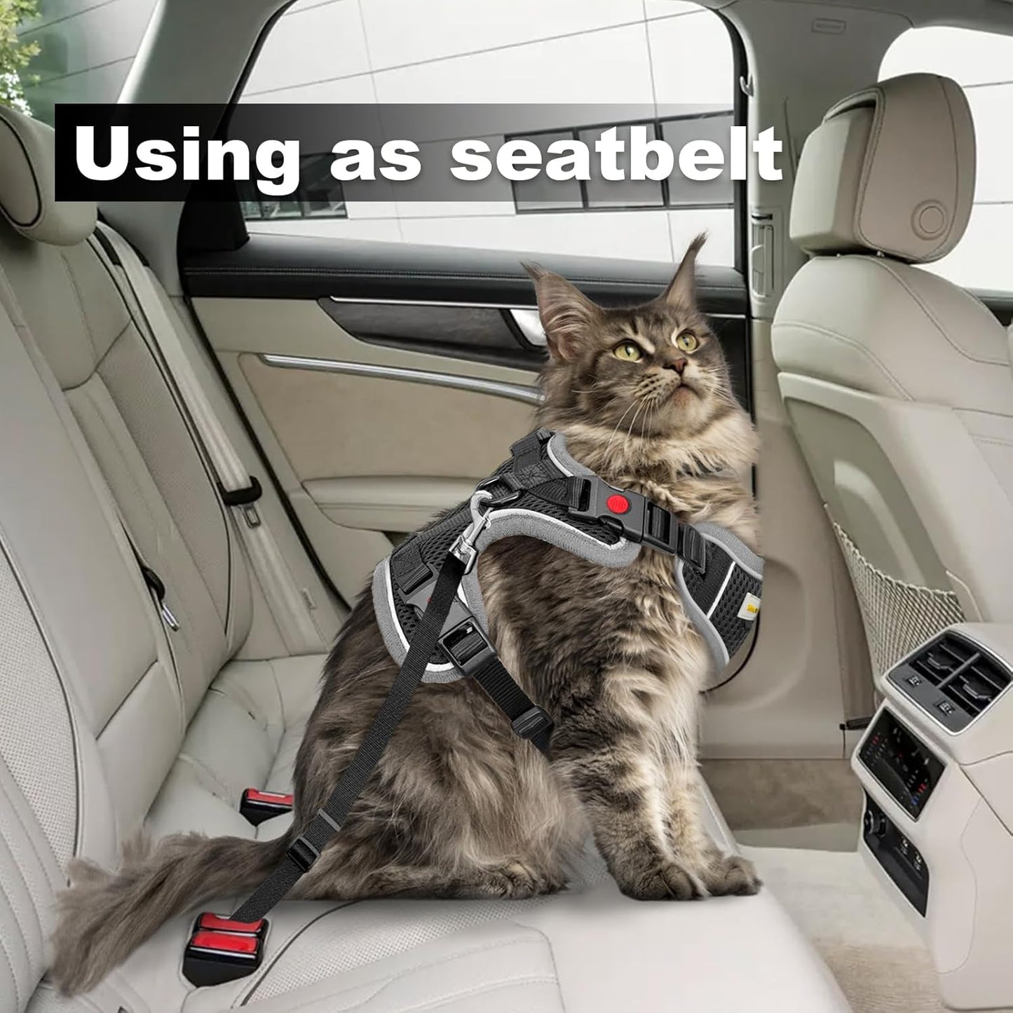 Cat Harness and Leash for Walking, Retractable Cat Harnesses and Leash Set Escape Proof, Breathable Soft Kitten Small Large Harness for Travel Training and Walking, Black, XS