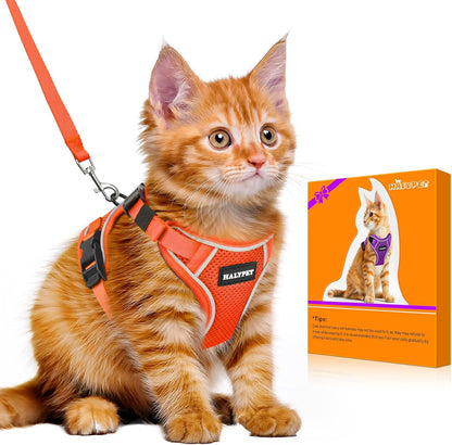 Halypet Cat Harness and Leash Set [MAX Safety 4th-Gen Upgrade] Escape Proof Adjustable Cat Leash Comfortable Soft Vest Easy to Wear Kitten Harness with Reflective Strip for Cats Walking, M Orange