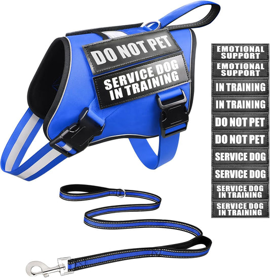Service Dog Vest Harness and Leash Set+10 Patches,No Pull&Easy Walk Reflective Dog Harness with Soft Padded Handle for Training/Everyday,Fit Small/Medium/Large/Extra-Large Dogs (Blue S)
