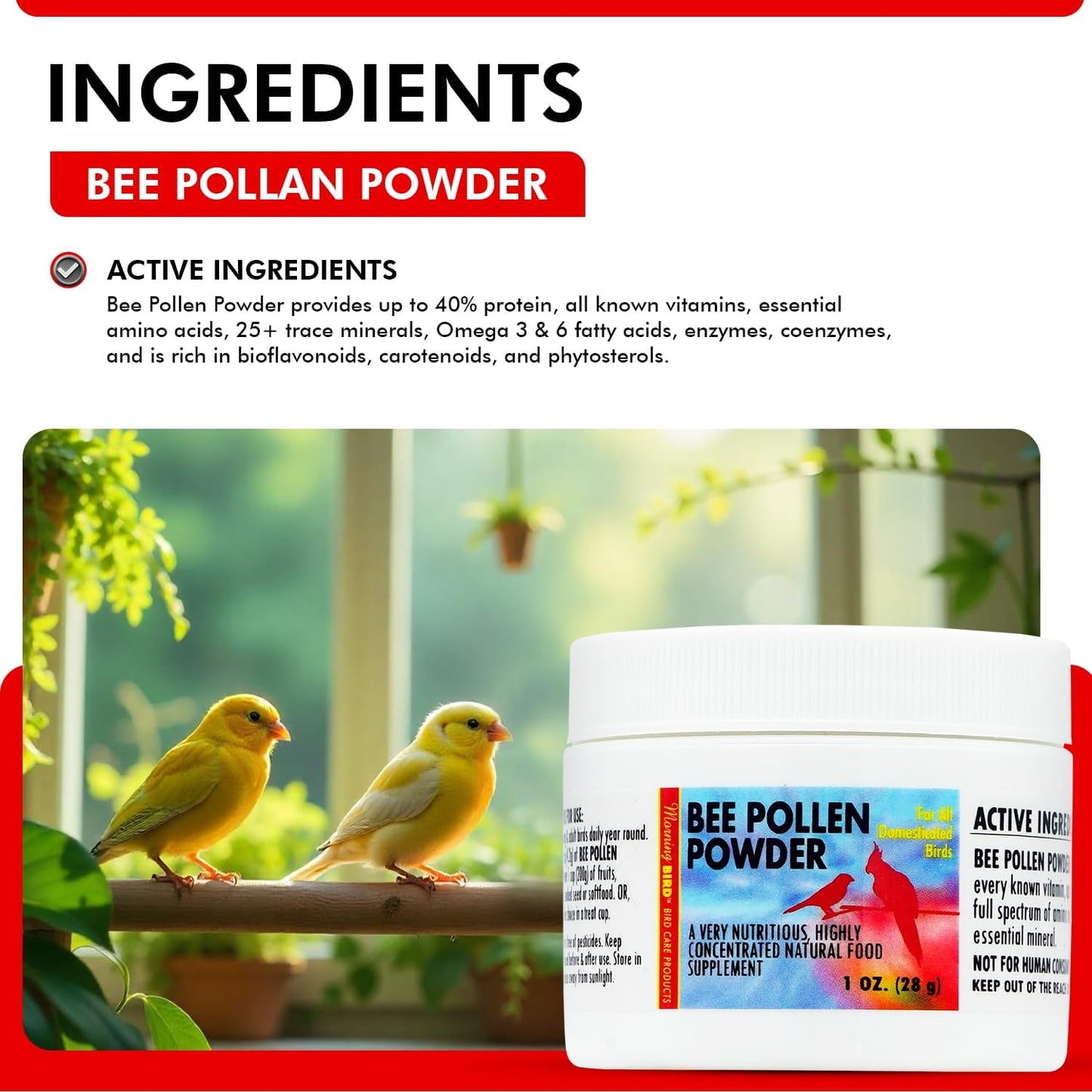 Morning Bird Bee Pollen Powder for Birds 1 Oz – Complete Nutrition with Protein, Amino Acids & Immune Support – Bird Vitamin & Mineral Supplement for Daily Health & Wellness