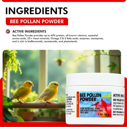 Morning Bird Bee Pollen Powder for Birds 1 Oz – Complete Nutrition with Protein, Amino Acids & Immune Support – Bird Vitamin & Mineral Supplement for Daily Health & Wellness