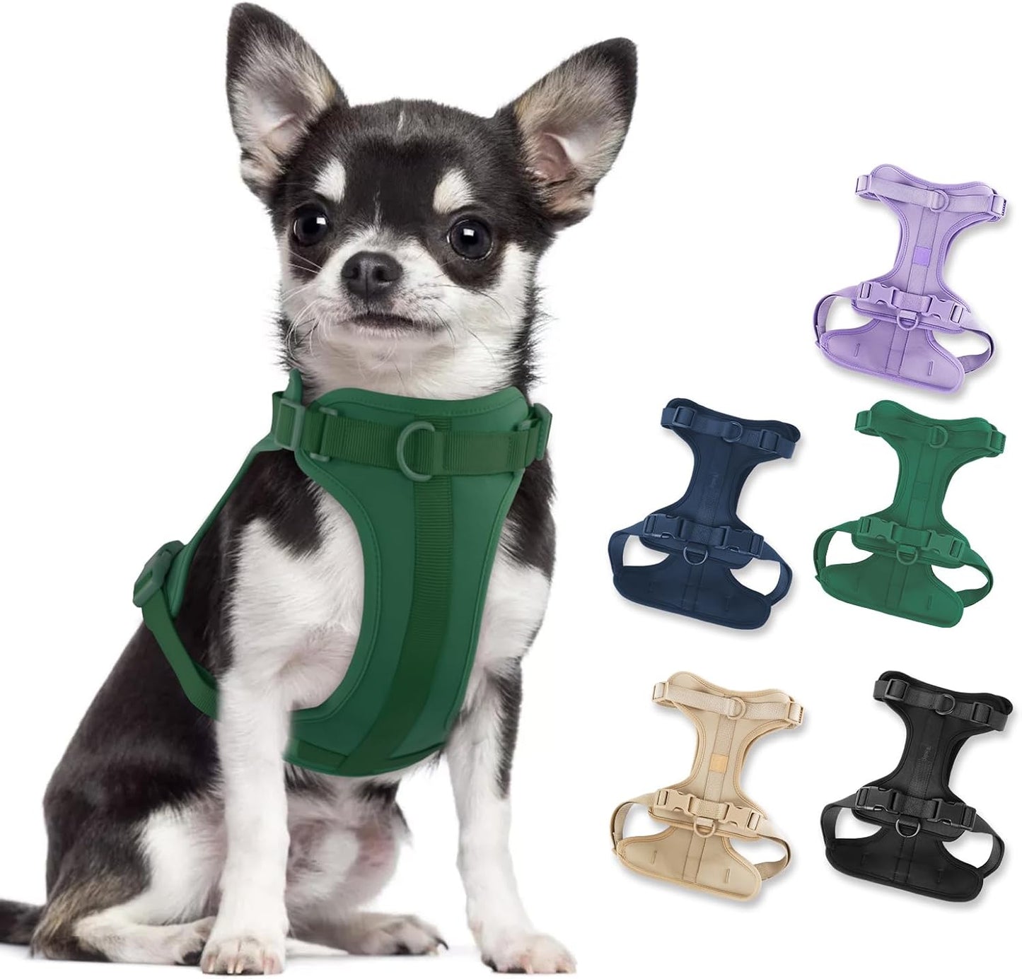 No Pull Lightweight Dog Harness: Adjustable Durable Breathable Mesh Pet Vest Harness with Soft & Comfortable Cushion, for Small Medium Large Dogs (S, Pine Green)