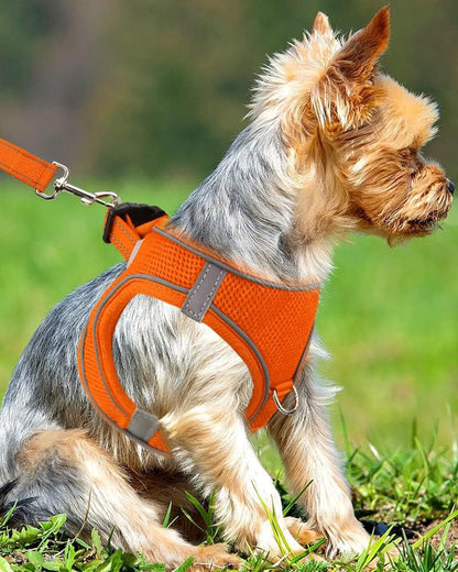Joytale Small Dog Harness, Breathable Mesh Step-in Vest, Reflective Soft Padded Harnesses Small Sized Dog for Walking, Orange, S