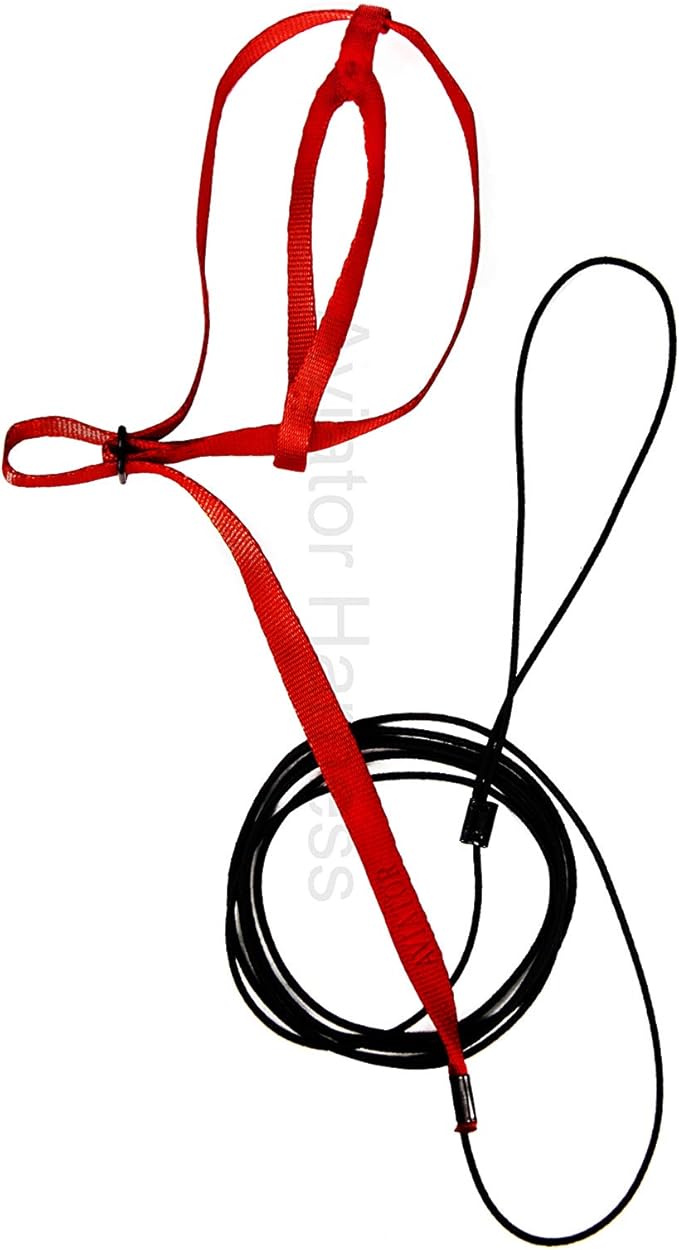 The AVIATOR Pet Bird Harness and Leash: X-Small Red