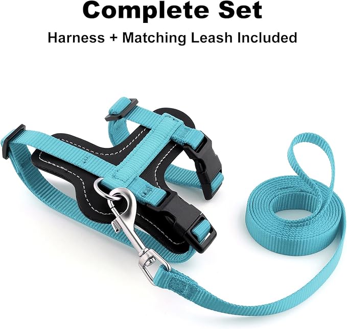 Plutus Pet Adjustable Cat Harness and Leash Set, Quick Release, Escape Proof Nylon Vest with Leather Trim for Kitten, Small Medium Large Cats, Light Blue